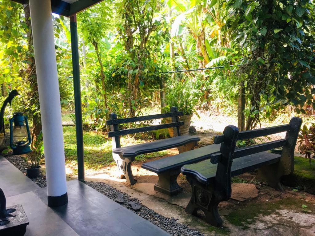 Nature Park Udawalawe Kültér fotó